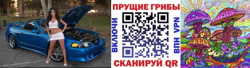 Галлюциногенные грибы Magic Shrooms  дарнет шоп  Кандалакша 